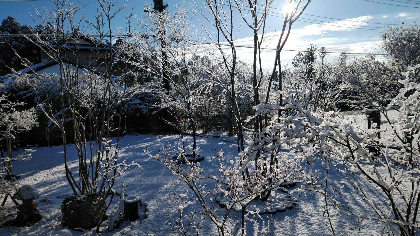 �߉ώsnmo�E�H�����|